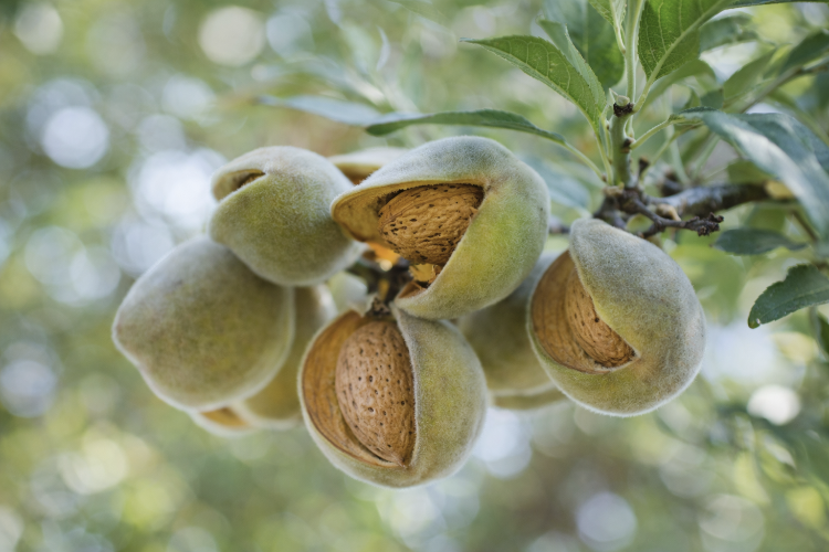 Produits issus de filières responsables