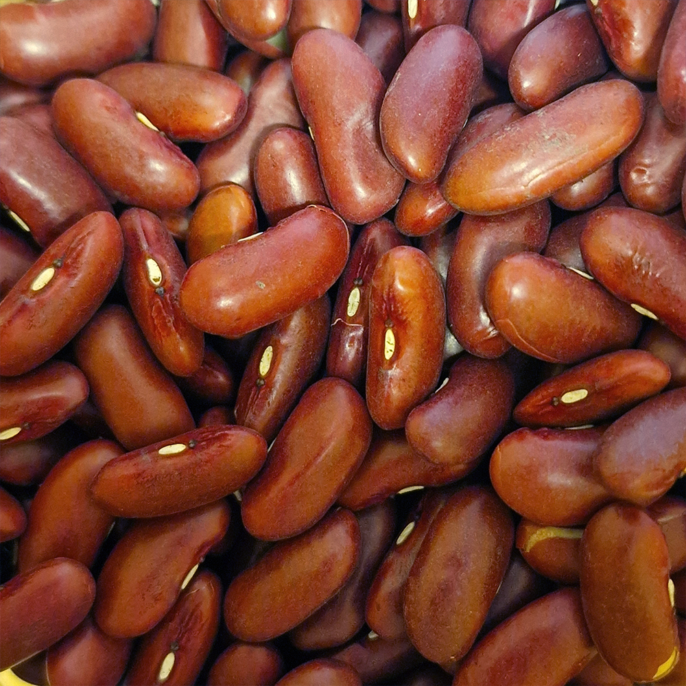 Haricots rouge biologique en vrac