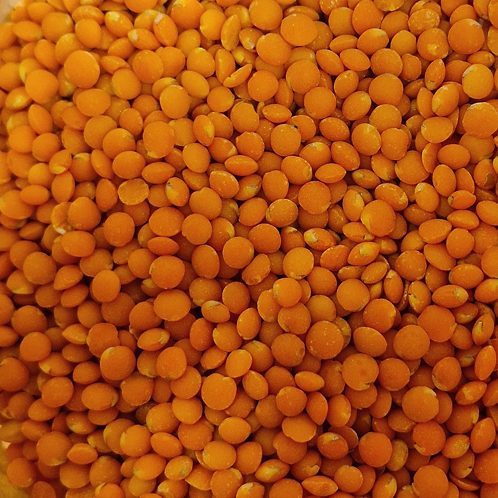 Lentilles corail biologique en vrac