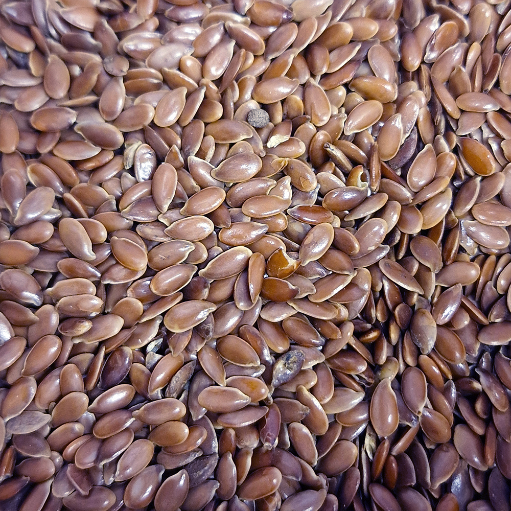 Graines de lin brun biologiques en vrac