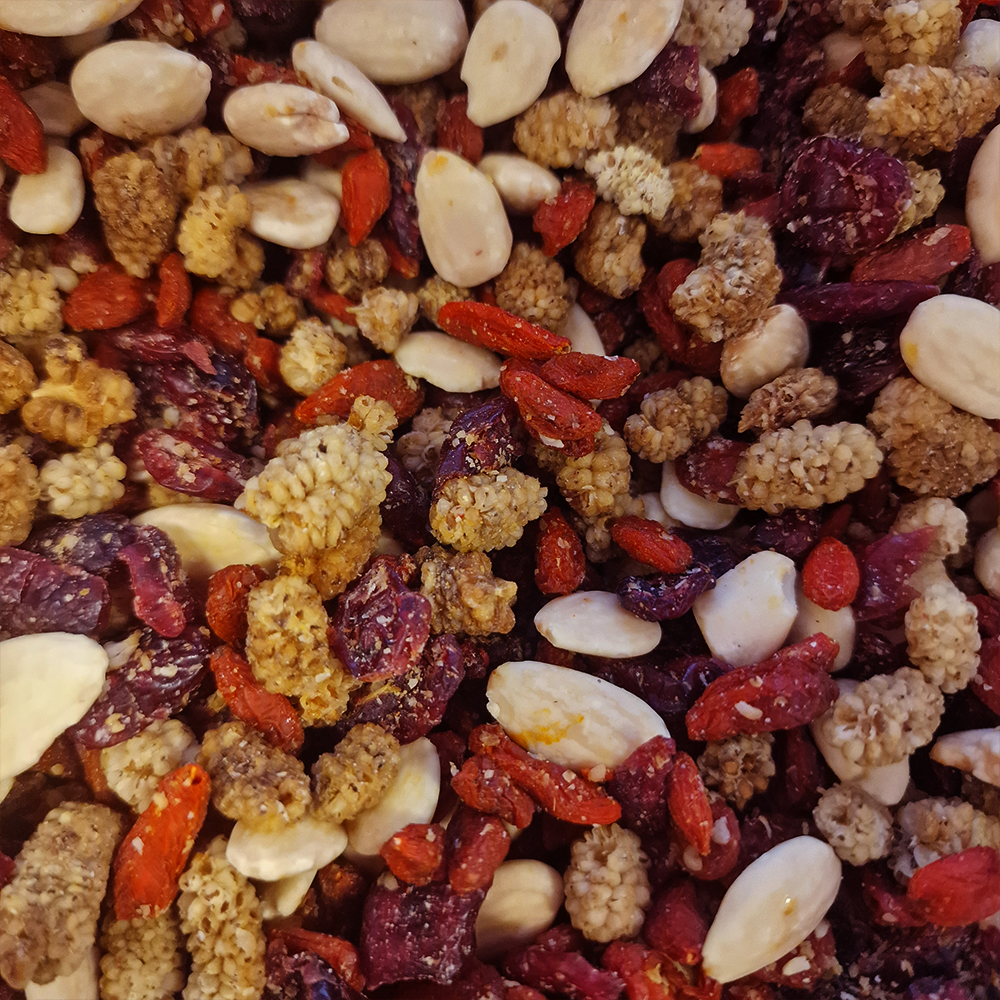 Mélange super-fruits biologique en vrac