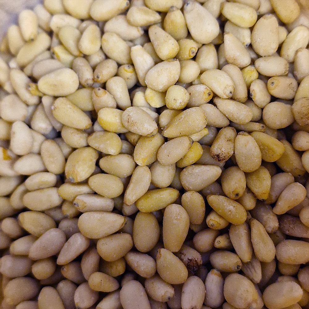 Pignons de pin biologique en vrac