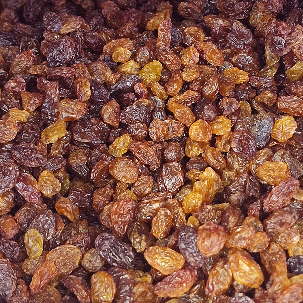 Raisins secs biologique en vrac