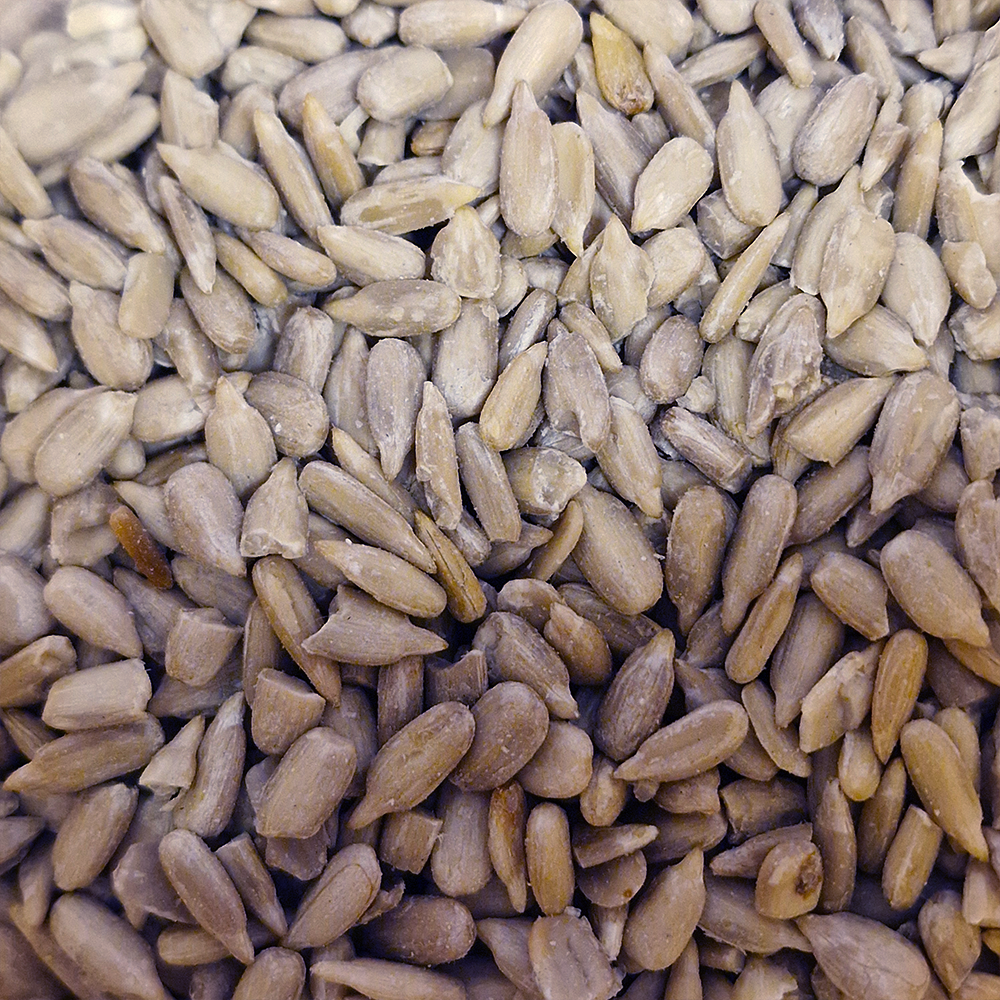 Graines de tournesol biologique en vrac