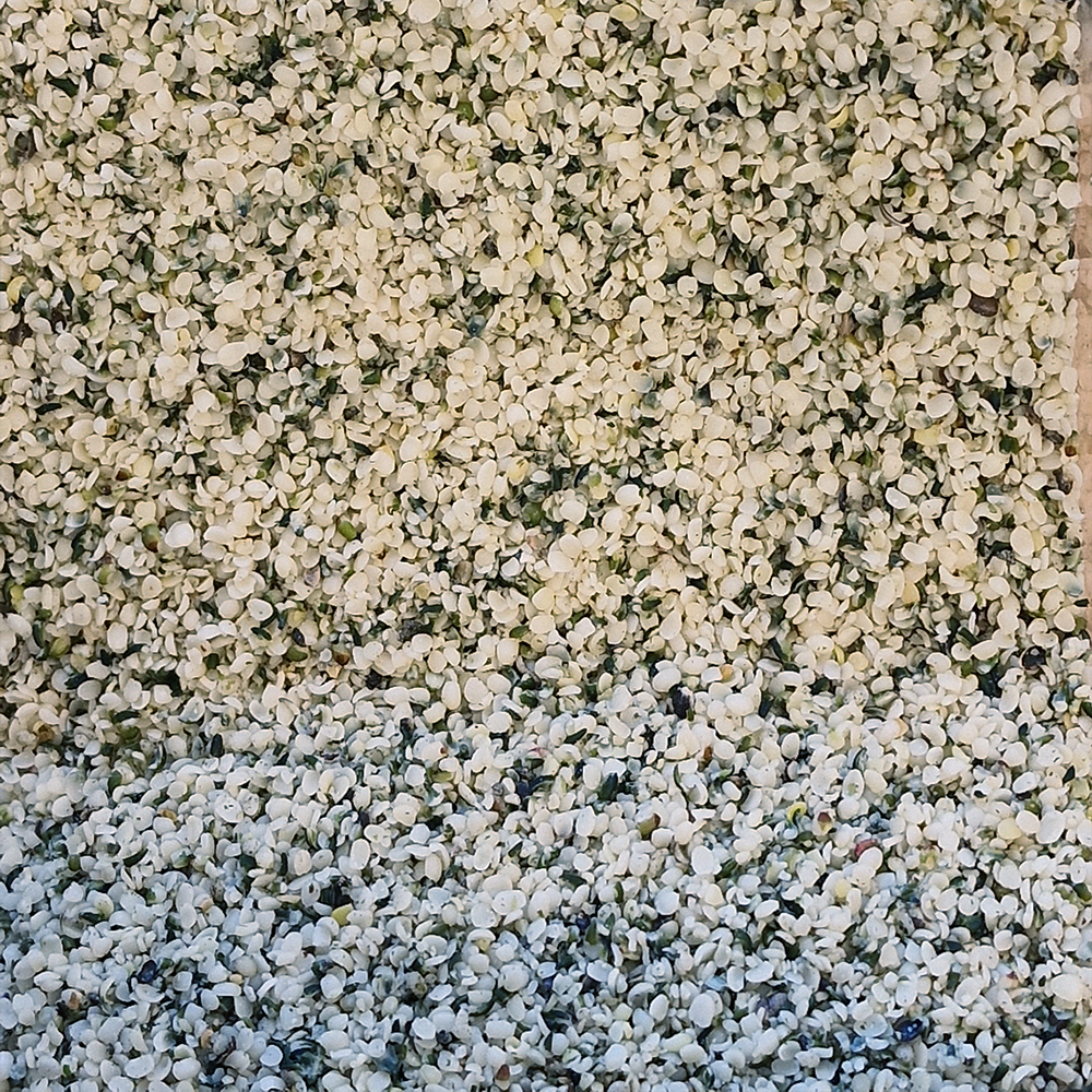 Graines de chanvre biologique en vrac