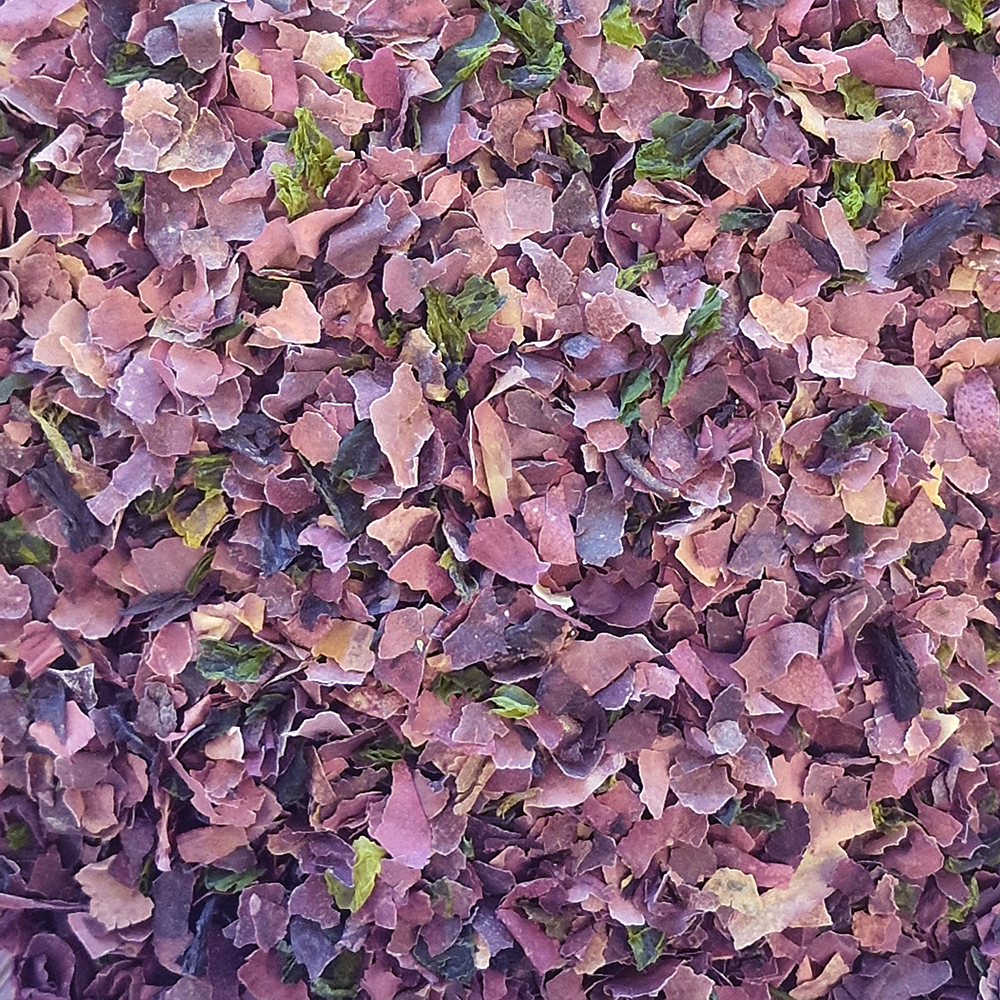 Mélange Océane Laitue de mer Dulse Nori en vrac