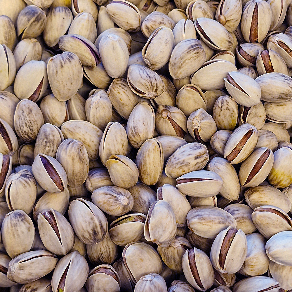 Pistaches en coque grillées biologique en vrac