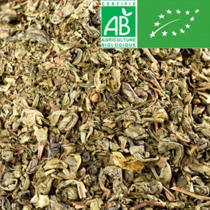 Thé vert à la menthe bio 3kg (2x1.5kg)